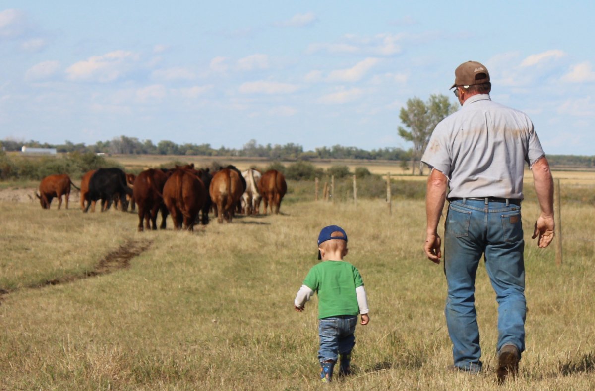 MBGovAg's tweet image. Happy Farm Transition Appreciation Day! Get started on your #farmtransition planning with resources at bit.ly/2TiHC99. #FTADay2023