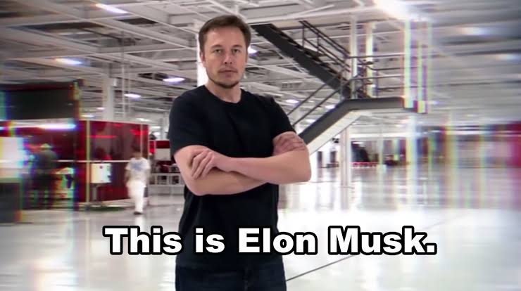 Musk DTC | Minting | Link in Bio 👇 tweet media