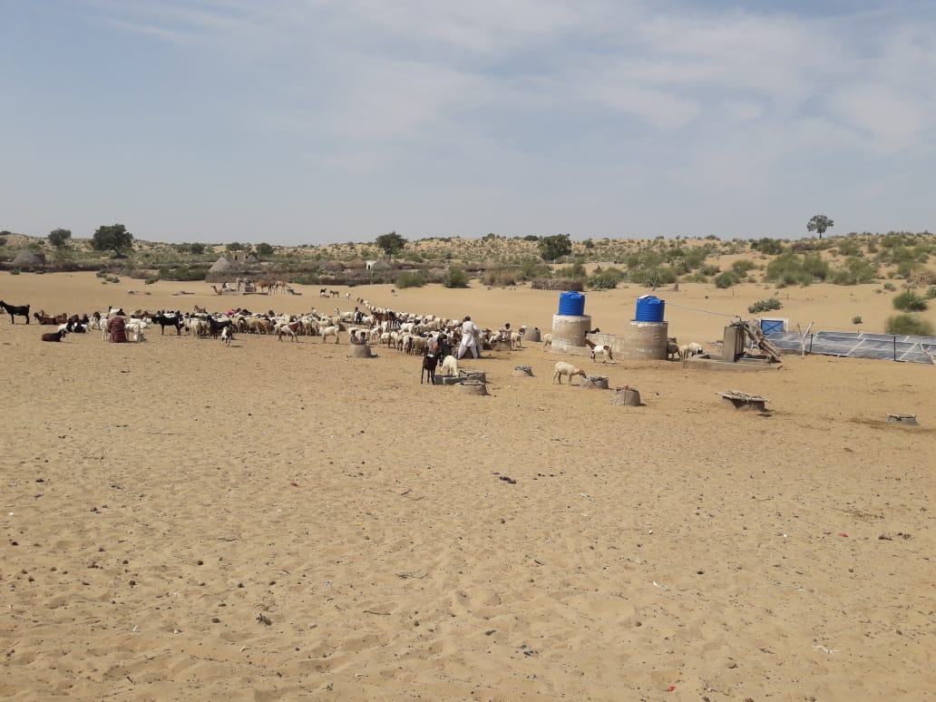 #TuesdayPrayer – In communities devastated by drought, we pray for the arrival of rain to replenish the land and bring a good harvest to those whose lives depend on it.