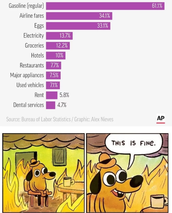 inflation_token's tweet photo. It's hard not to like this calm dog when you see the Consumer Price Index whizzing upwards. I wonder what this dog is taking? Psychotropics? Drugs? 😂😂🤔

$BTC $DOGE $XRP $ETH $ADA $BNB $LINK $DOT $SHIB $LUNC #Cryptogem #newcrypto #newtoken #ITK #makemoney #makeprofit $ITK #ITK https://t.co/CIN6MfoyKW