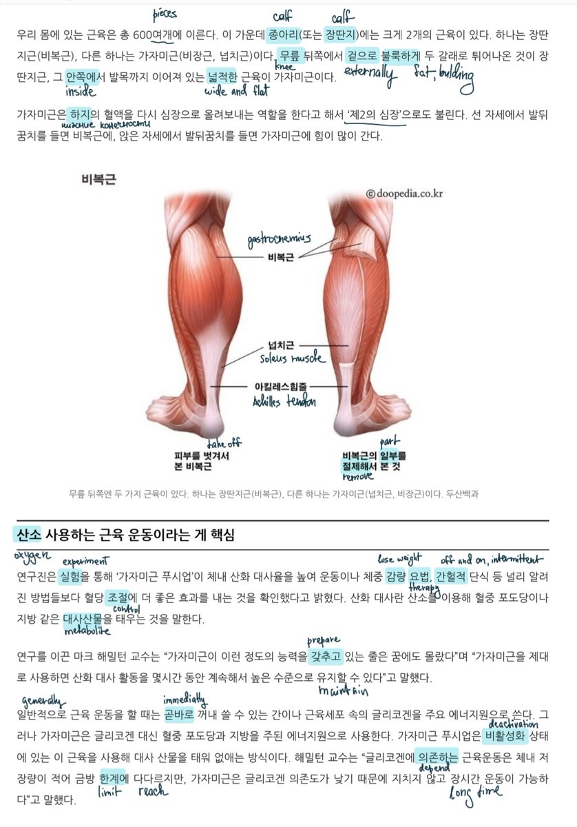 kkeunimopssi's tweet photo. so.. I came back after a while and hope to stay but we never know. these days I studied korean as usual everyday, for the other languages.. I didn't do anything, actually, haha.
I read a lot of articles, managed to finish a book ์นจ์
์๋ค. https://t.co/LZ9QVGnFd8