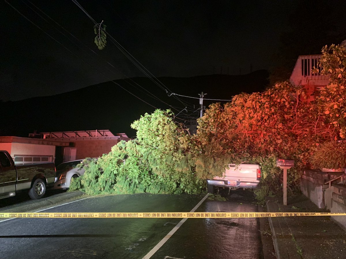RIGHT NOW: Tree brings down power lines, crashing into parked cars along Humboldt Road in #Brisbane. Power was out even before the tree fell. There is concern reenergizing the lines could pose a safety risk. Fire crews waiting on PG&E before clearing the tree. Road closed. #CAwx https://t.co/QjDVhdt9cR