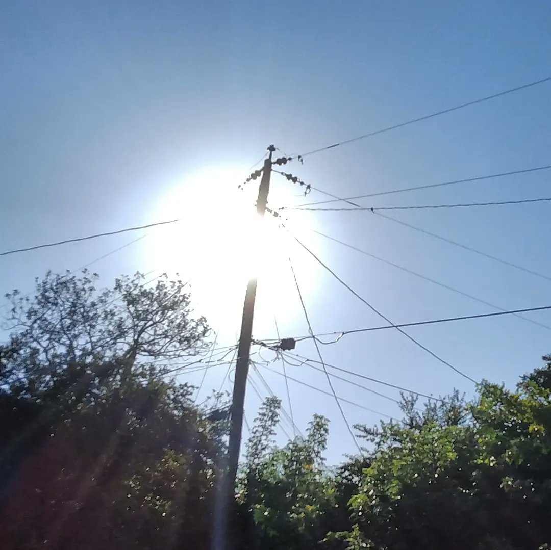 JorgeGNYCMIA's tweet photo. #Miami #Sky #Sunshine #Trees #Utilitycables #Utilitypole #photo #photodaily #phototoday #photoofthedaye #photogram #photograph #photographer #photography #photooftheweek #photos #photosession #photoshot #photostudio #skyphotography #sunrays #sunflares #lensflare #SunshineMorning https://t.co/LZjYPbi87F