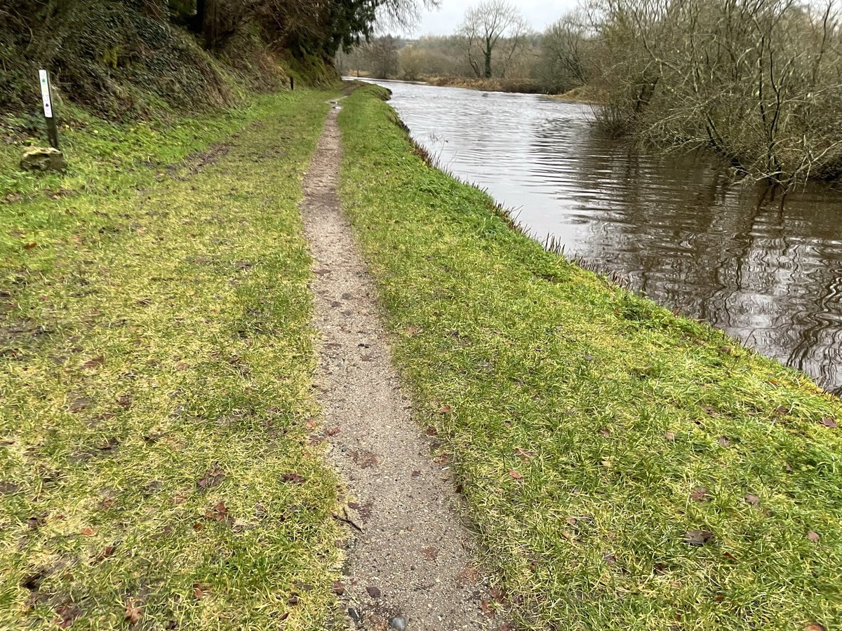 Jacqui07108033's tweet photo. #100daysofwalking #round3crew #cardiacrecovery #marathoninamonth
Day 10 is wet.. very wet clashganny waterlogged and the beautiful river Barrow is very high almost at flood level Still beautiful though .🌿🌿🪷🌳🌳 https://t.co/VV4pIN3T54