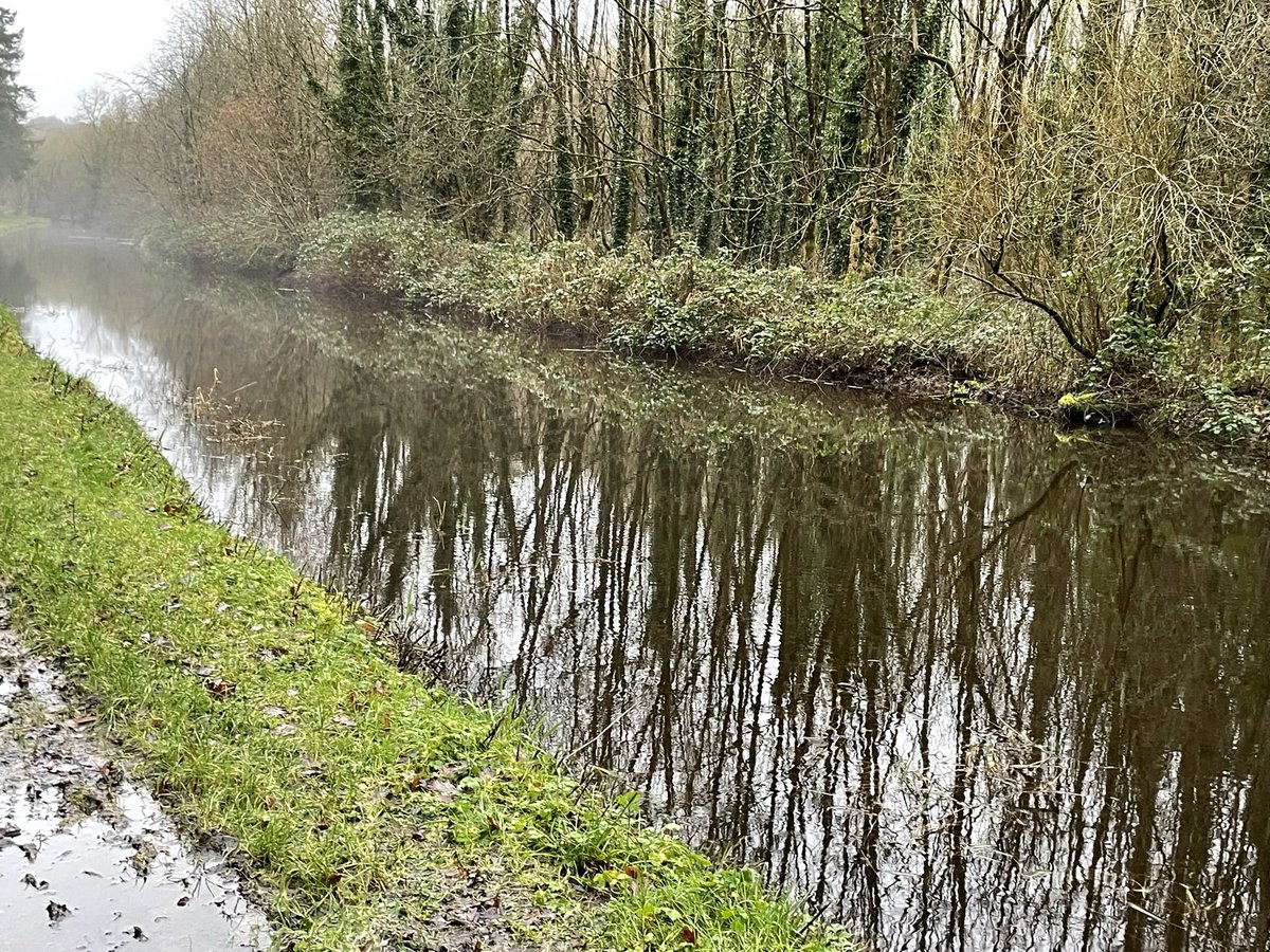 Jacqui07108033's tweet photo. #100daysofwalking #round3crew #cardiacrecovery #marathoninamonth
Day 10 is wet.. very wet clashganny waterlogged and the beautiful river Barrow is very high almost at flood level Still beautiful though .🌿🌿🪷🌳🌳 https://t.co/VV4pIN3T54