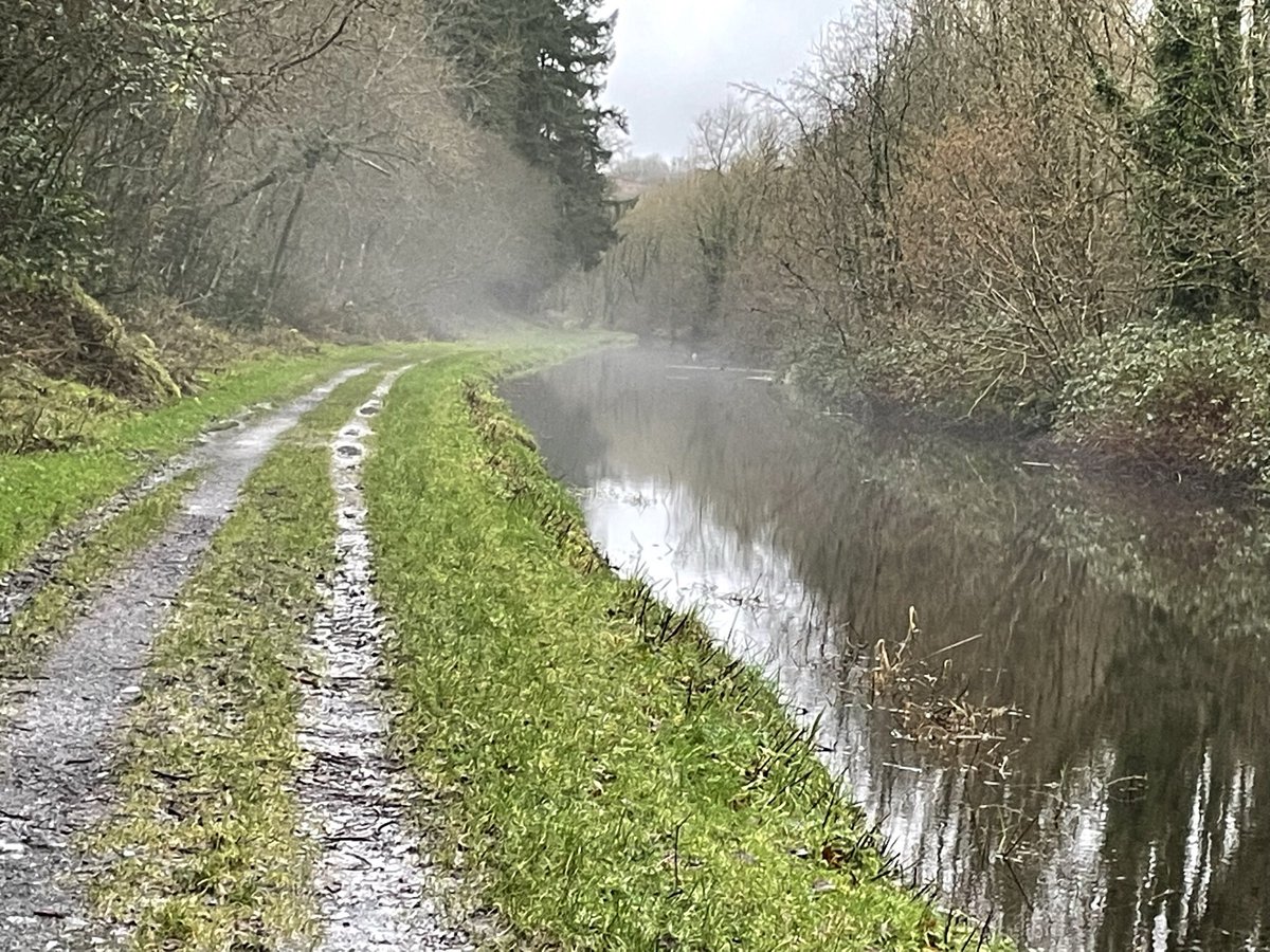 Jacqui07108033's tweet photo. #100daysofwalking #round3crew #cardiacrecovery #marathoninamonth
Day 10 is wet.. very wet clashganny waterlogged and the beautiful river Barrow is very high almost at flood level Still beautiful though .🌿🌿🪷🌳🌳 https://t.co/VV4pIN3T54