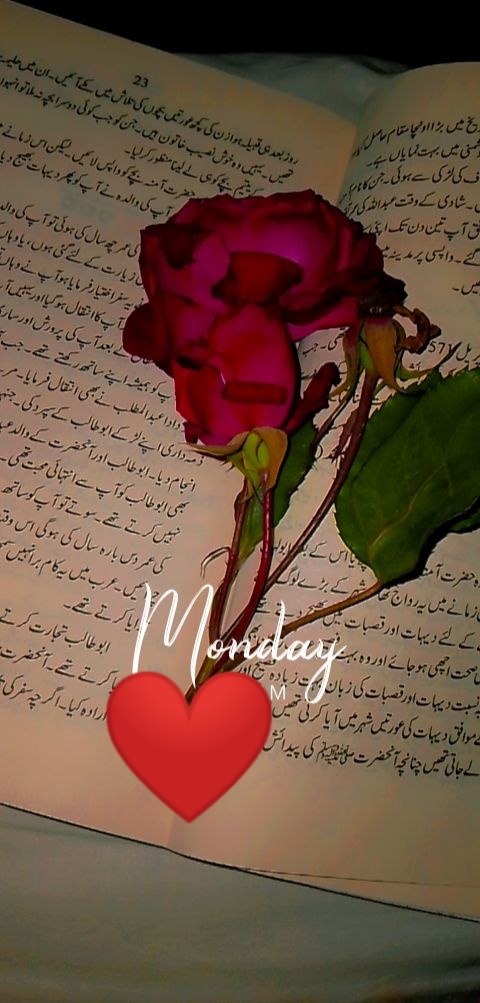 atiqa_21's tweet photo. وہ بھی لوگوں نے بتایا کہ نہیں ہے افسردہ..🥀
ہم بھی خوش باش جیئے جھوٹی رفاقت کھو کر....🖤 https://t.co/w4pNGkkglt