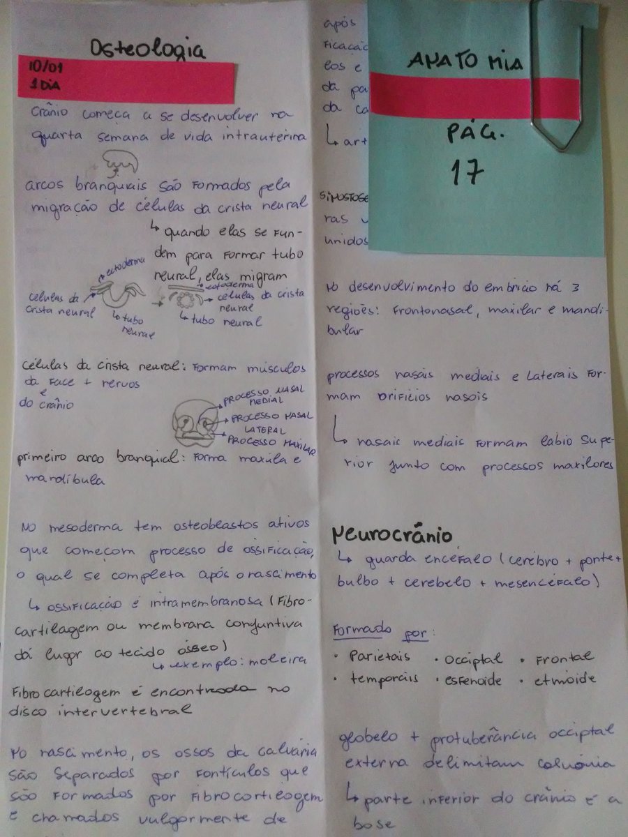 odonterstudy's tweet image. Revisar parte do assunto de ontem que não consegui terminar