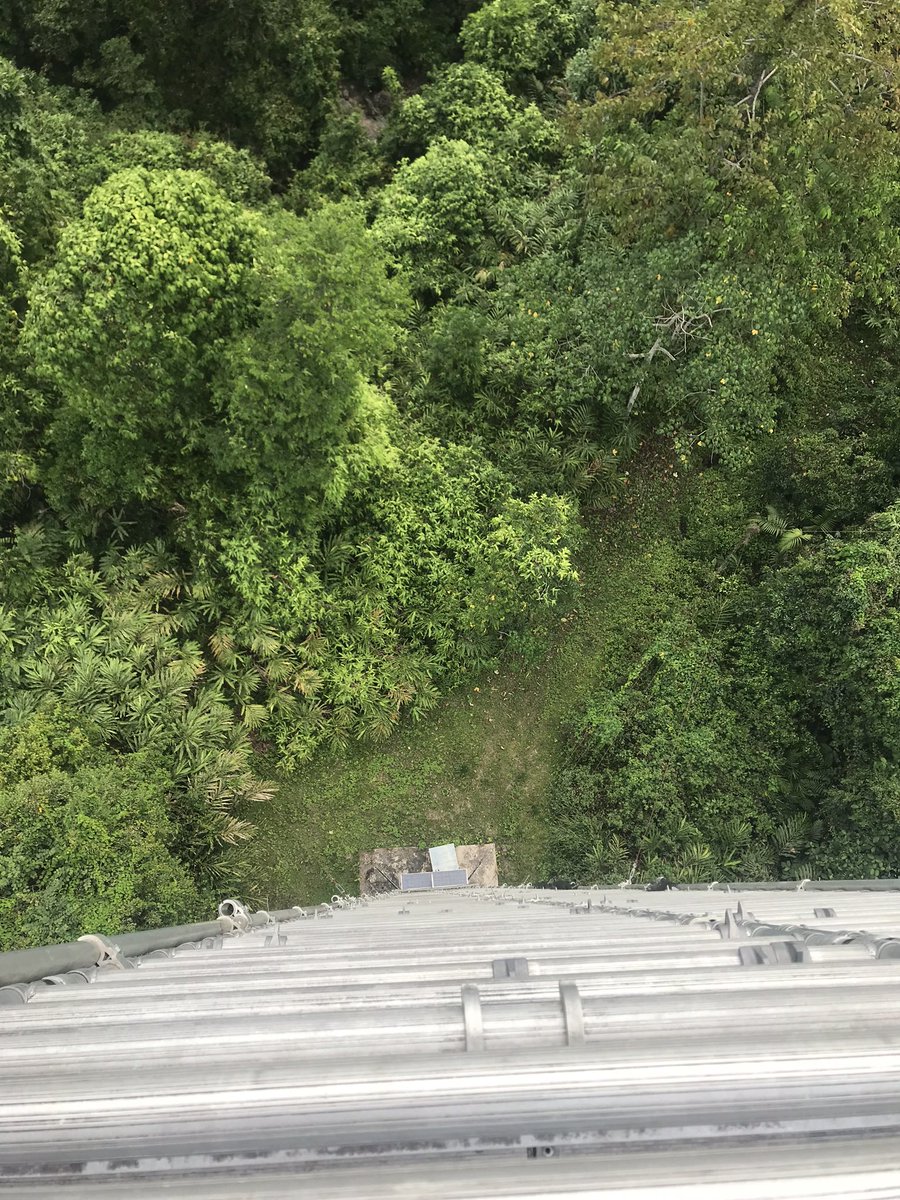 MariaBMills's tweet image. On the topic of eddy covariance… here is the beautiful view from the top of the @SAFE_Project flux tower