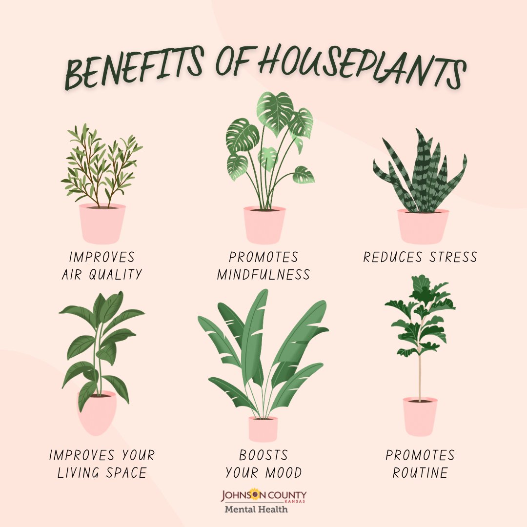 Did you know that just being in the presence of indoor plants has a wide  range of benefits for our health - esp. #mentalhealth? Have plant  questions? Call @JoCoExtension's Master Gardener Hotline: