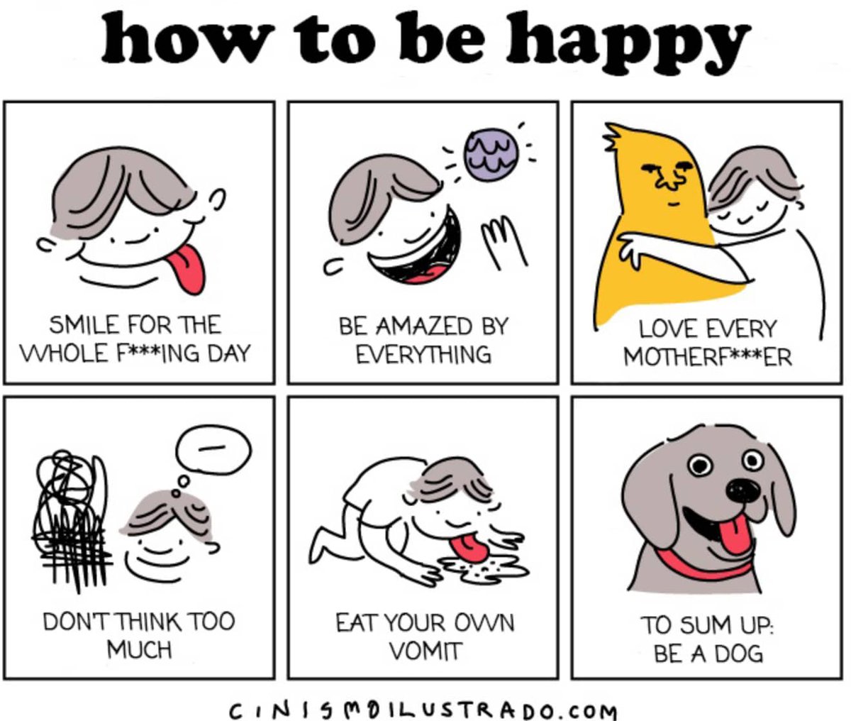 samim's tweet image. How To Be Happy: Be a Dog