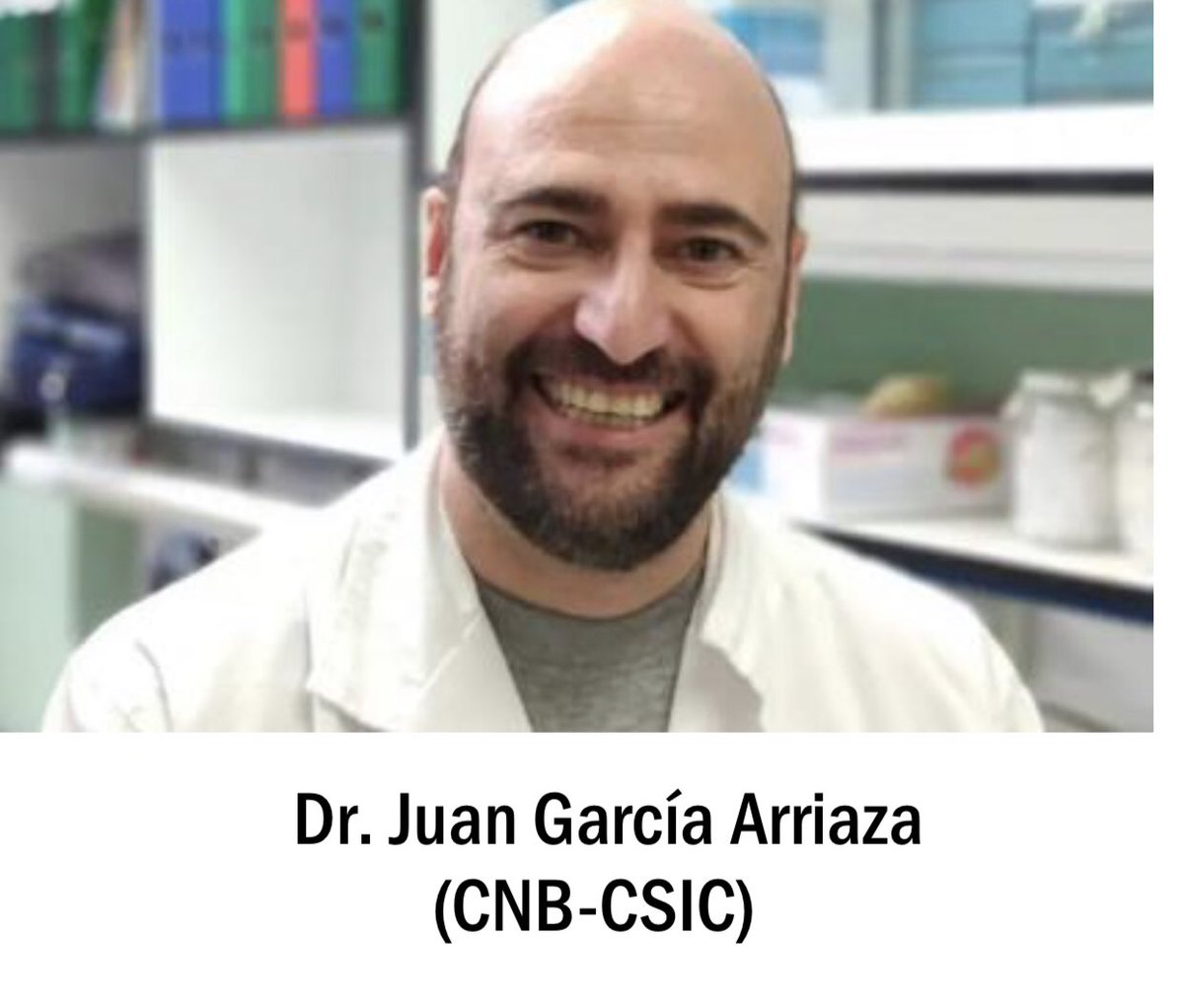 guillermofesser's tweet image. La vacuna española del Covid 19 protege de la infección cerebral que causa la pérdida de olfato o los dolores de cabeza. Los 2.5 años de intenso trabajo de doctores, como García Arriaza (CNBC-CSIC), Villadiego o Toledo Aral (IBIS), se publican en la revista Nature Neuroscience.👇