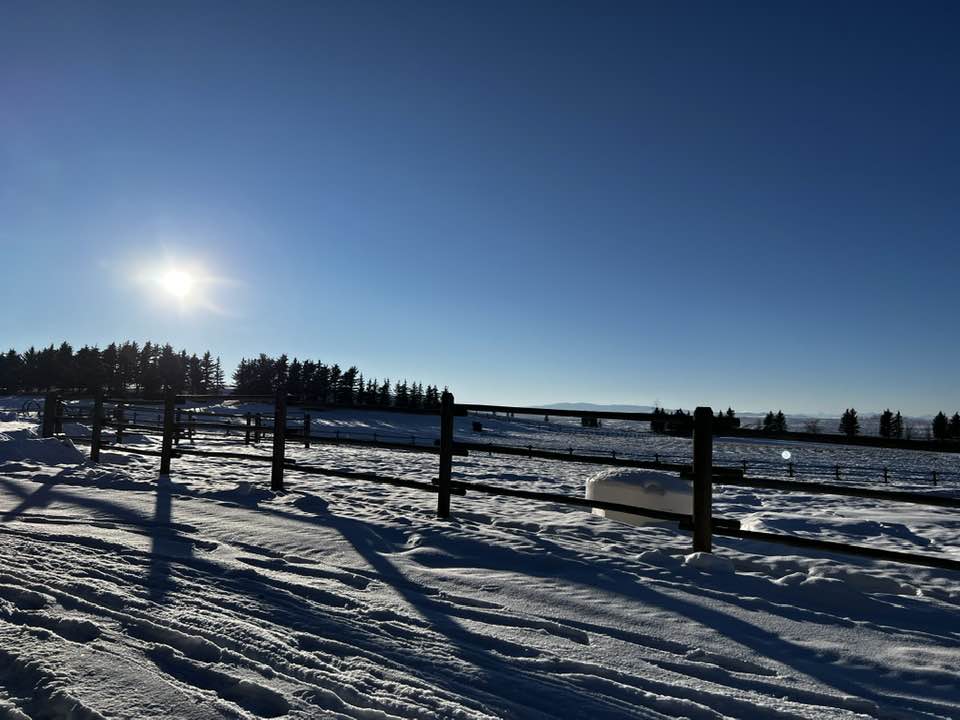 Dwayne J. Clark tweet media