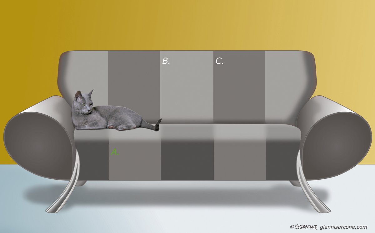 Gianni A. Sarcone tweet media