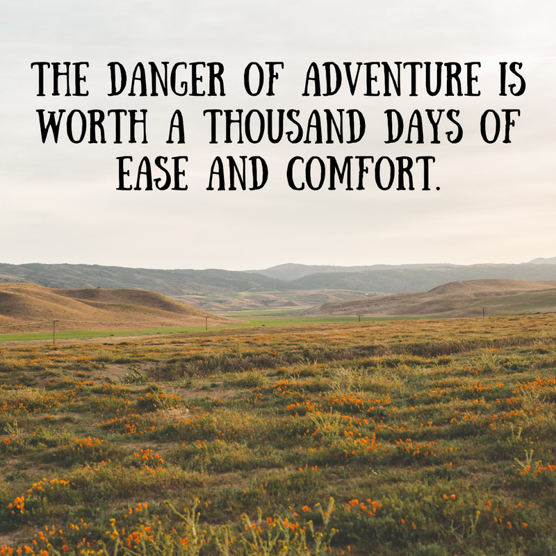 Where is the most adventurous place you've taken your RV? 🌄

Looking to upgrade your RV? Checkout our newest selections. 👉 rpb.li/2kKcer

#RVStationDonna #Donna #RioGrande #Texas #rvlifestyle #rvliving  #rv #camping #rvfamily #rvadventures #roadtrip #rvadventure
