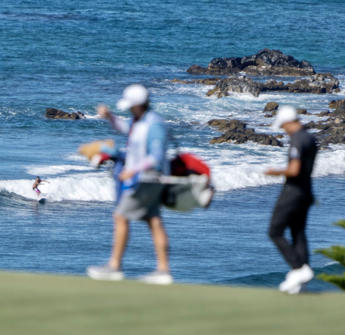 CaddieNetwork's tweet image. If you could caddie at any non-major event, which one would you choose? 👀 #SentryTOC 

(📸: @SentryInsurance #Sponsored)