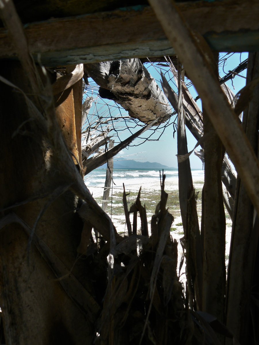 AntonuccioSanoP's tweet photo. Fotografía de Pedro Antonuccio Sanó. Paisaje. Península de Macanao. Isla de Margarita. Estado Nueva Esparta. Venezuela. 2006. #macanao #estadonuevaesparta #islademargarita #venezuela #playasvenezolanas #margarita #oceans #seephotography #turismo #EnVenezuela #Impresionate https://t.co/FTLdsx6XyS