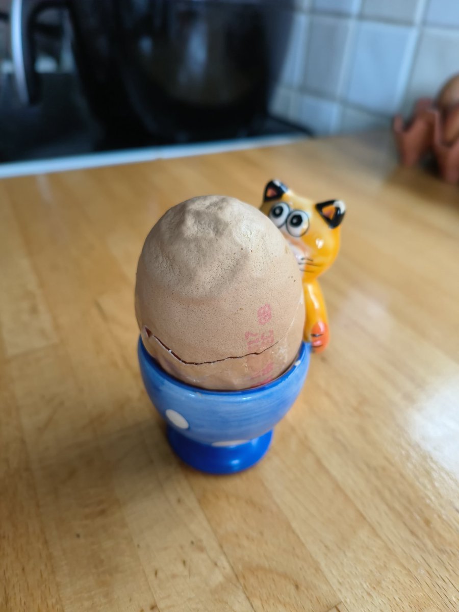 DebsGreenJones2's tweet photo. Update on 'The enormous egg', all's well, no smell and looks ok, large yolk that broke in two not a double yolk. Poor chicken needs a medal laying such a whopper ! #eggs #chickes https://t.co/BtI3DmwttZ