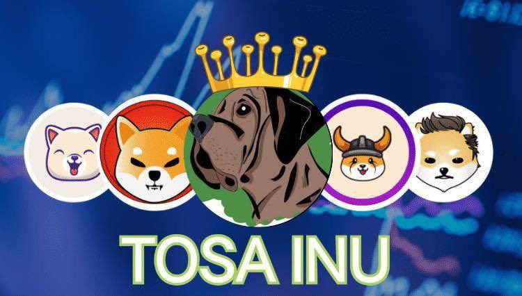 POΞ ⚡️ tweet media