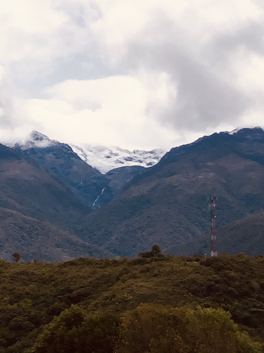 GracianDr's tweet photo. Hoy 10,1,23 la dama se vistió de blanco, en merida se adelantaron las nevadas. Normalmente néva entre junio y octubre. Desde el balcón asomó su rostro y se tapó el termómetro indicaba 10 grados a las 6 am. Que espectáculo la ciudad con niebla. Cómo venezuela no hay. https://t.co/z17KPSXST4
