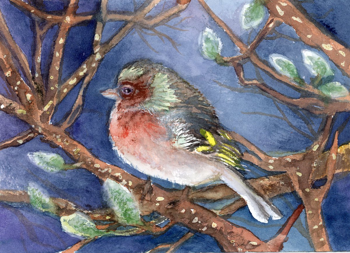 LifeImitatesDdl's tweet image. #DoodlewashJanuary2023 prompt: Branches. Did you know tree branches stay at the same height forever, because trees grow from the top? #paulrubensart Watercolours. @Hahnemühle_USA Rough Collection Watercolor paper. @Hahnemühle FineArt #Doodlewash #WorldWatercolorGroup