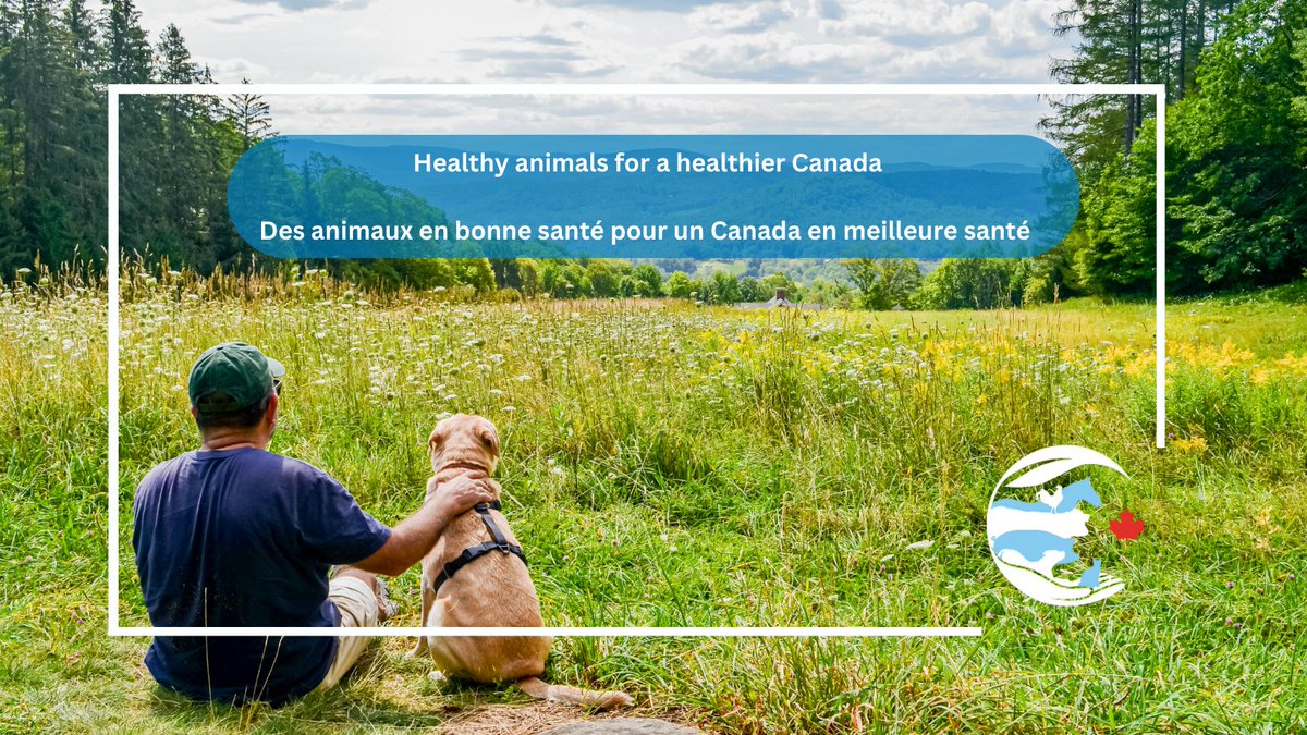 Healthy animals for a healthier Canada! At CAHI, our members are continuously investing in R&amp;D to protect #animalhealth and foster a #sustainable future for people and our planet🌎🧪 Visit cahi-icsa.ca/our-values to learn more!