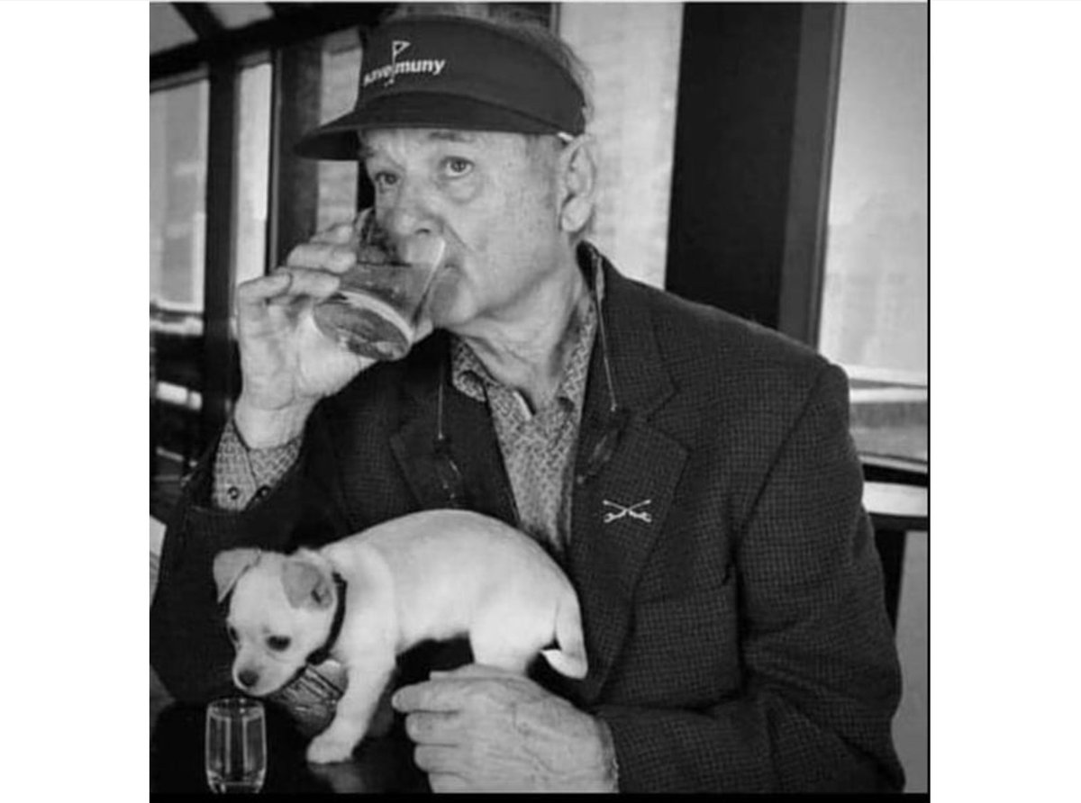 jimrosecircus1's tweet image. "I'm suspicious of people who don't like dogs, but I trust a dog that doesn't like a person." - Bill Murray