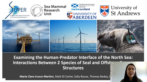 UKIRSC MarineMammals tweet media