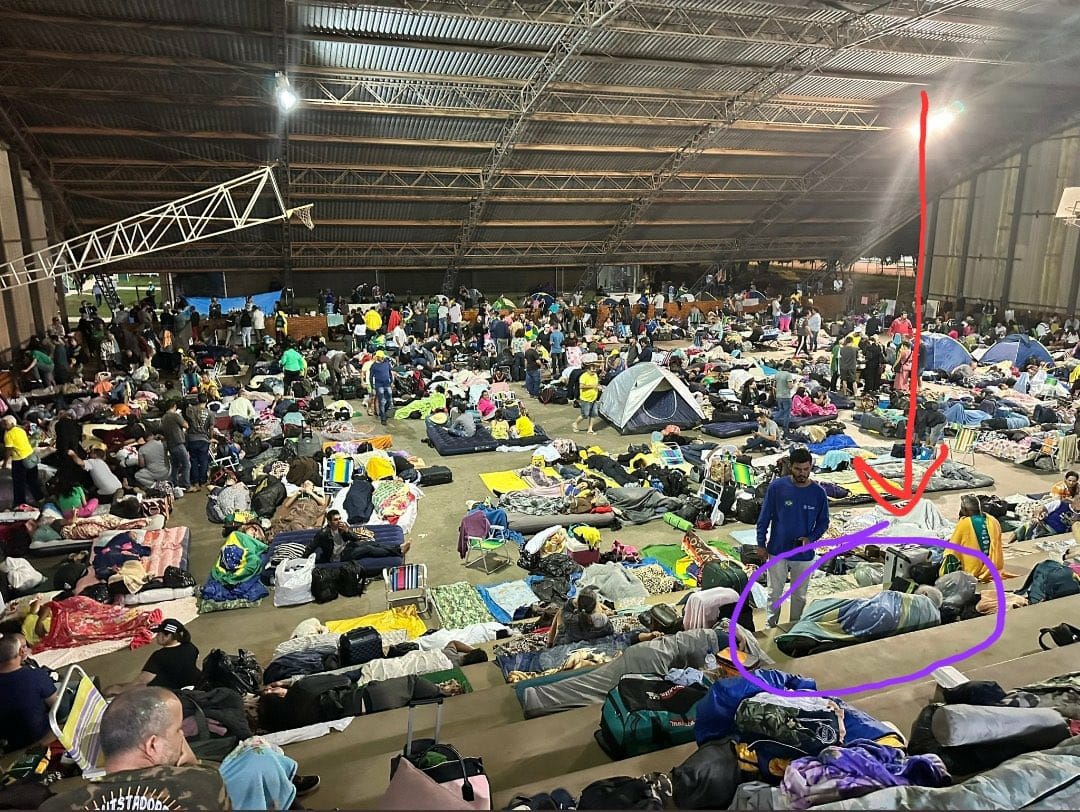 Paula Schmitt tweet media