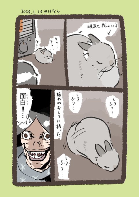 うさぎって

#うさぎのいる生活 