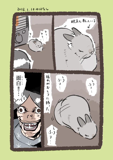 うさぎって

#うさぎのいる生活 