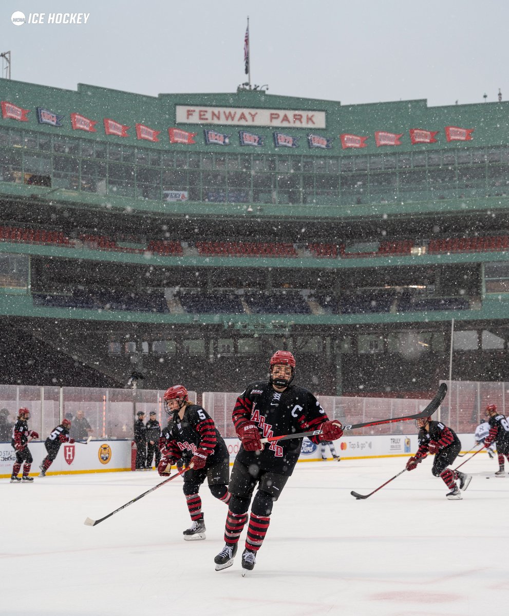 NCAAIceHockey's tweet photo. Vote for the #NCAAHockey Photo of the Week 📸

1️⃣ @HarvardWHockey Friday in Fenway 🏟
2️⃣ @GoNUmhockey Pound it 👊
3️⃣ @SCSUHuskies_MH King of the north 🐺
4️⃣ @PWIH Fire em' up, Coach! 🔥 https://t.co/MJED3kQRuR