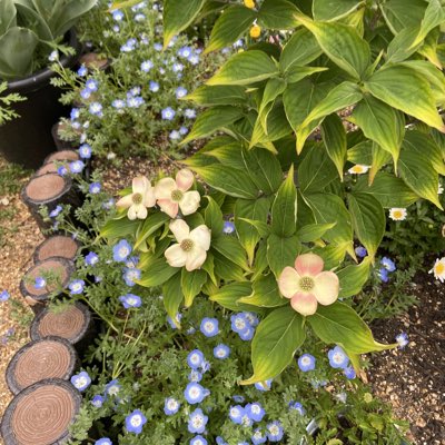 #新しいプロフィール画像