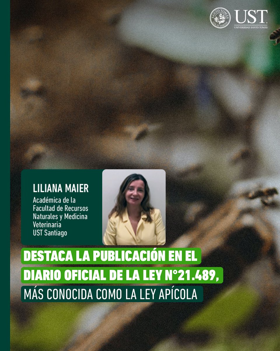 Santo Tomás tweet media