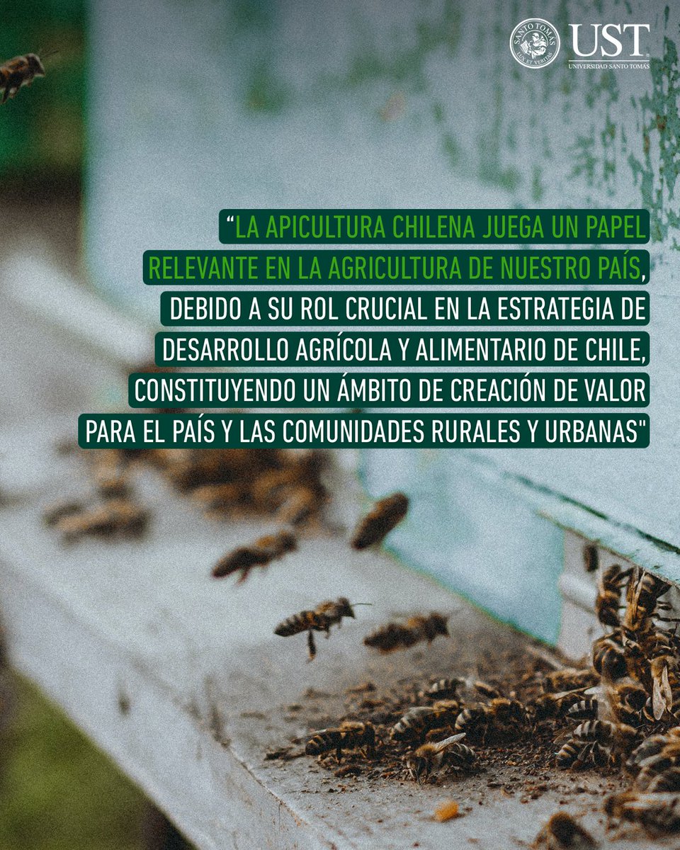 Santo Tomás tweet media