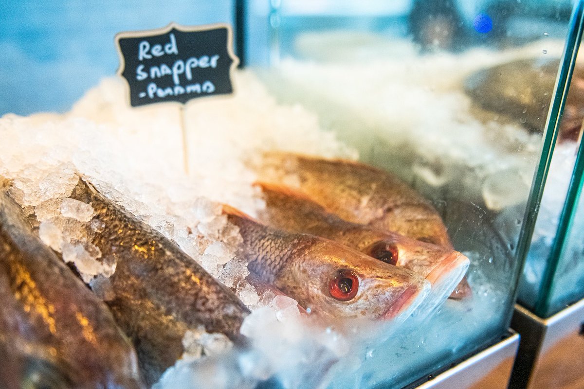 Getting ready for another week of service here. What fish are you most looking forward to, or would you like to see us prepare for you? #causadc 

📸: <a href="/rlopez809/">Ricardo</a>