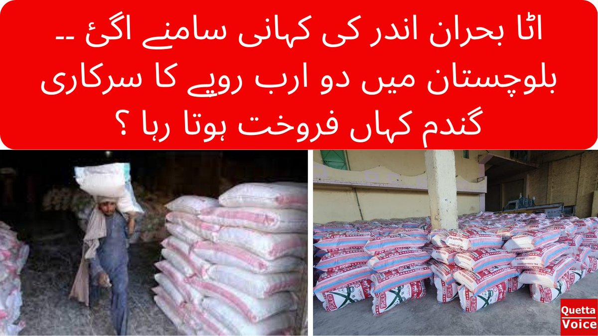 VoiceQuetta's tweet photo. اٹا بحران اندر کی کہانی سامنے اگئ ۔۔بلوچستان میں دو ارب روپے کا سرکاری گندم کہاں فروخت ہوتا رہا ؟
#wheatcrisis #wheatflourcrisis #quettavoice 
 Watch out: https://t.co/ehPncqHxM9 via @YouTube by @alishahjourno https://t.co/GcUHzKqTvb