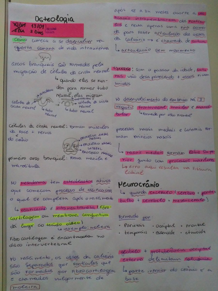 odonterstudy's tweet image. Tô achando tão bom sempre mudar os métodos a cada revisão. Ontem fiz o resumo colocando pontos mais importantes do livro, hoje revisei com color code e fiz anotações linkando com a prática, na próxima revisão vou revisar os ossos que lembro e reforçar os que não lembro