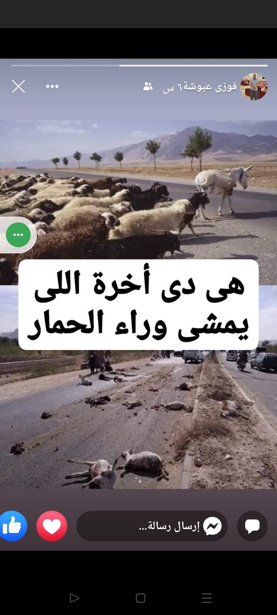 Elsayed11401911's tweet photo. @ahmedel47884479 https://t.co/814rnrVCfA