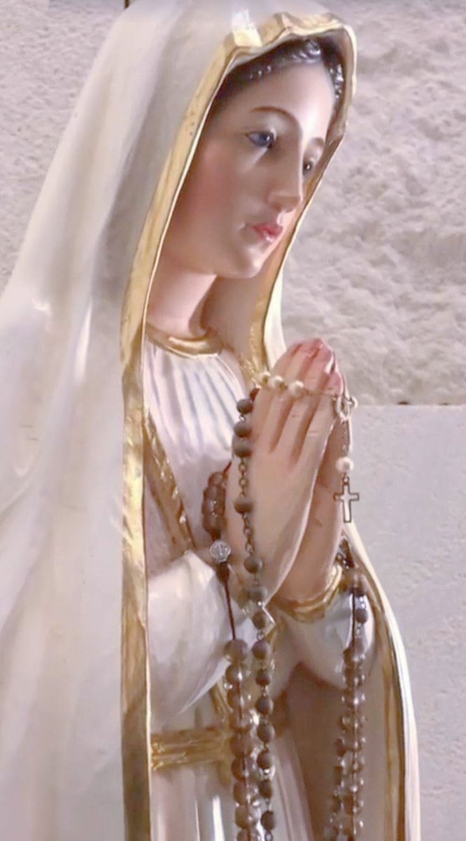flor_ell879's tweet image. Mary, our Health of the sick, pray for us and the whole world! 🙏✝️🌹🕊️