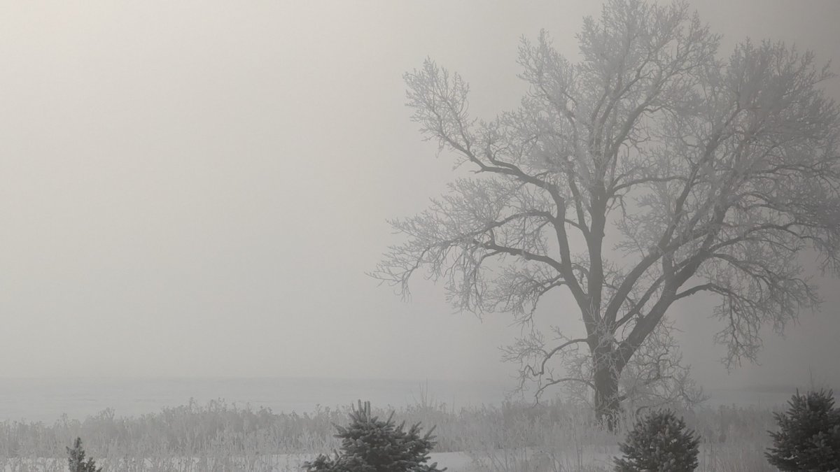 Zerf2004's tweet photo. @madebygoogle @madebygoogle Another cold foggy morning in South Dakota with everything covered in frost.🥶 https://t.co/mXTzYmylD6