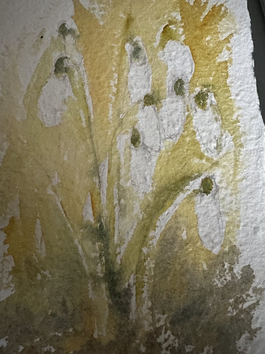 staithesartist's tweet photo. Doesn’t come off #khadi type paper without tearing, but should get away with it. Tree coming along. Hope I don’t/haven’t gone too far! #maskingfluid #watercolour https://t.co/YeCNWiqChF