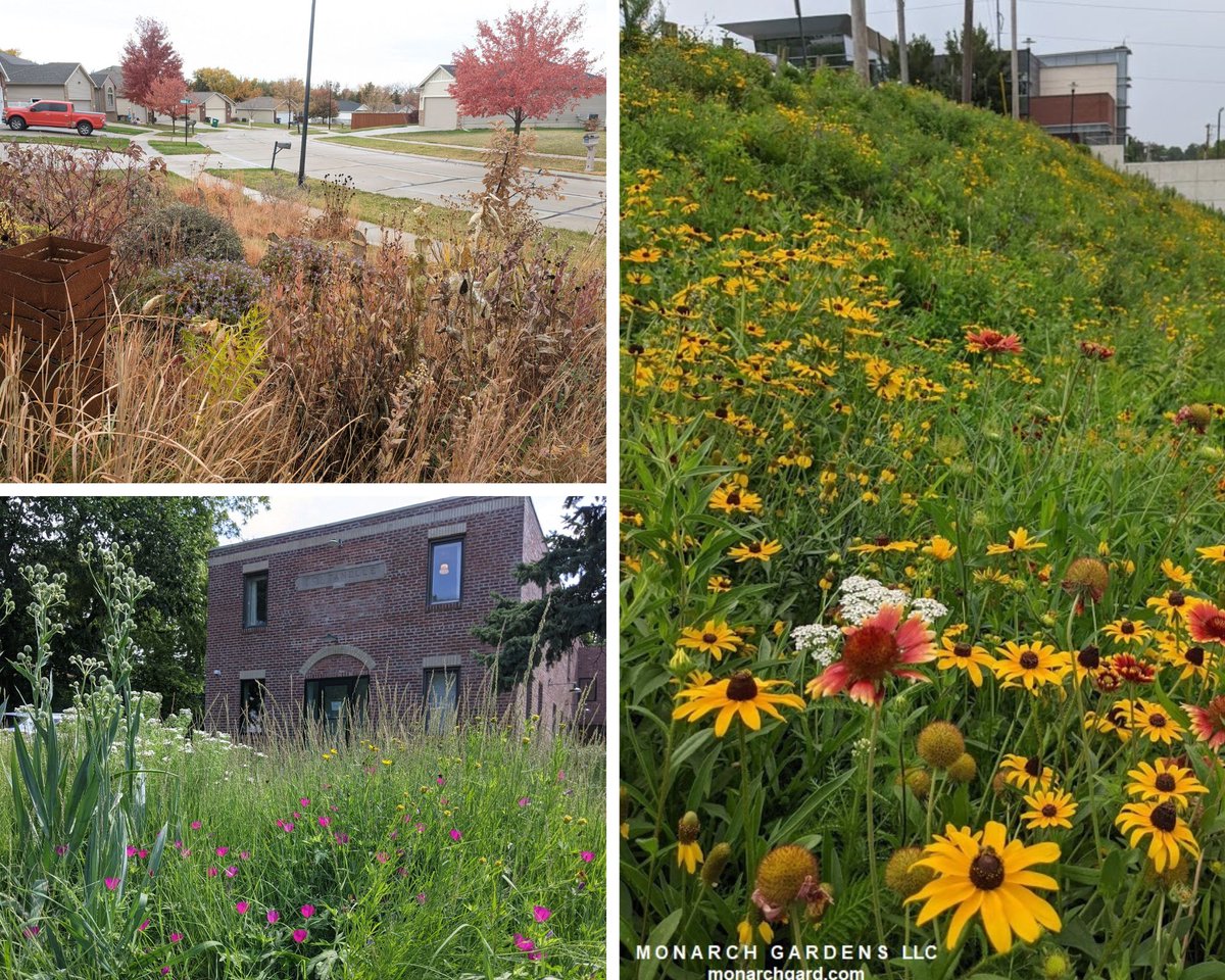 Join me for a 4-part series on learning to garden naturally for humans (aesthetics) and wildlife (native plants). Registration is limited and ends soon -- also get a free copy of my new book! monarchgard.com/workshop.html