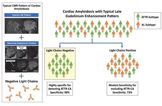Edgardo Alania (@ed_alania) on Twitter photo 🧲Non-invasive diagnosis of TTR-CA utilizing typical LGE pattern on CMR and light chains <a href="/ESC_Journals/">European Society of Cardiology Journals</a> #CardioEd #Cardiology #WhyCMR #Amyloidosis 🧲Non-invasive diagnosis of TTR-CA utilizing typical LGE pattern on CMR and light chains <a href="/ESC_Journals/">European Society of Cardiology Journals</a> #CardioEd #Cardiology #WhyCMR #Amyloidosis