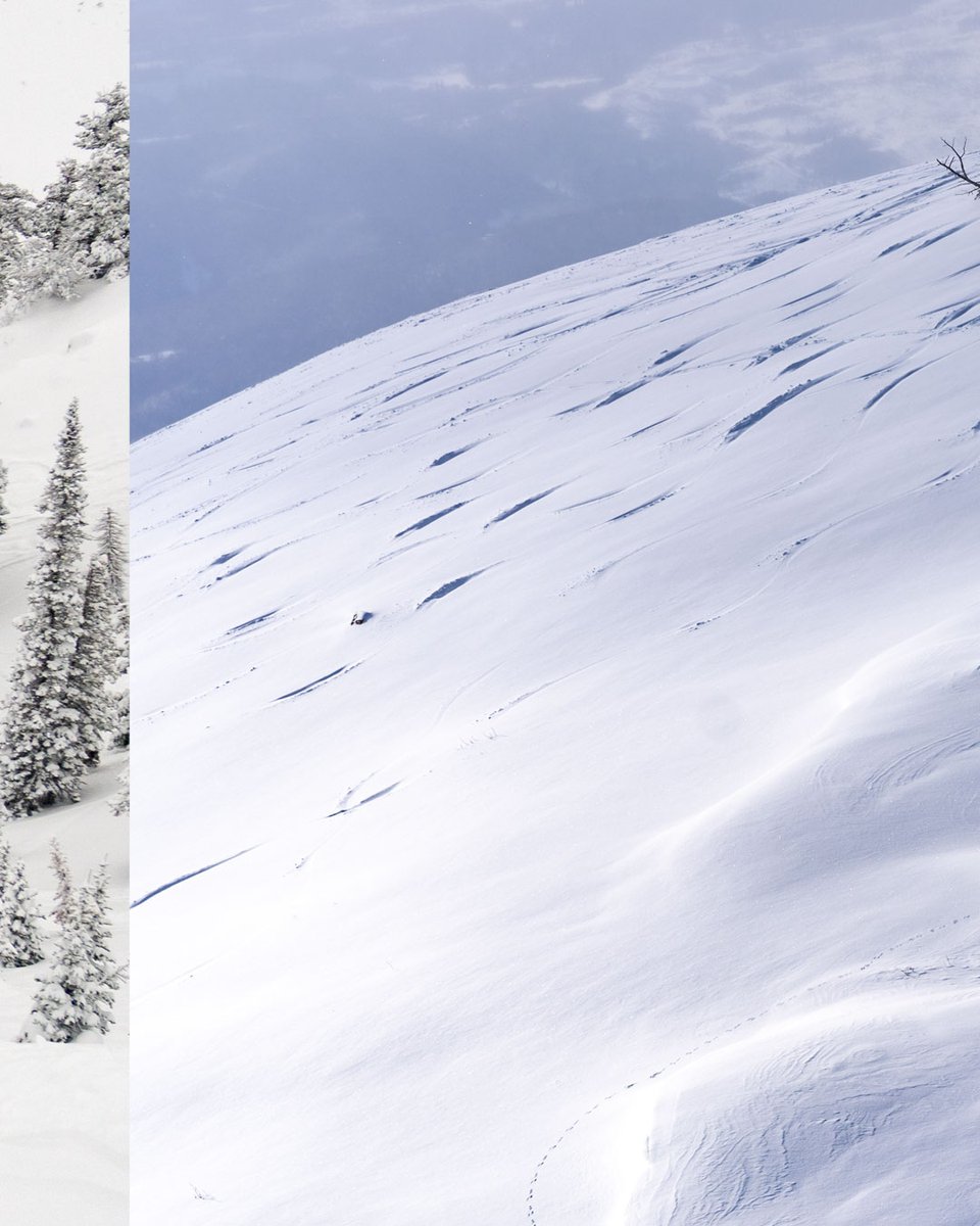 Powder Mountain on Twitter "We've received 11" of snow in the last 24