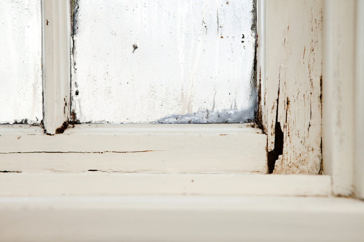 EWCwindows's tweet photo. Are your windows hard to open, or need to be propped up to stay that way? Should you buy new windows? Let's find out! https://t.co/gOsIUZPMNd
#windows #coldweather #oldwindows #efficientwindows #energyefficientwindows #replacementwindows https://t.co/vqURO5Hwrp