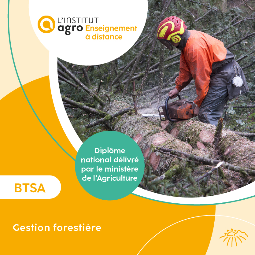 BTSA Gestion forestière 🌳
Pour plus de renseignements :
💻 ead.institut-agro.fr/nos-formations…
📞 0473833600