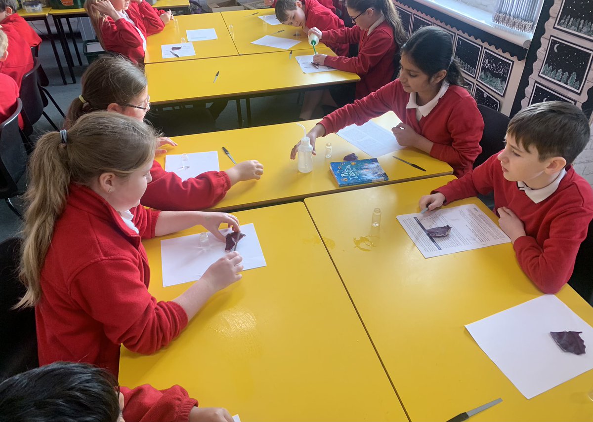 Dial Park UKS2 tweet media