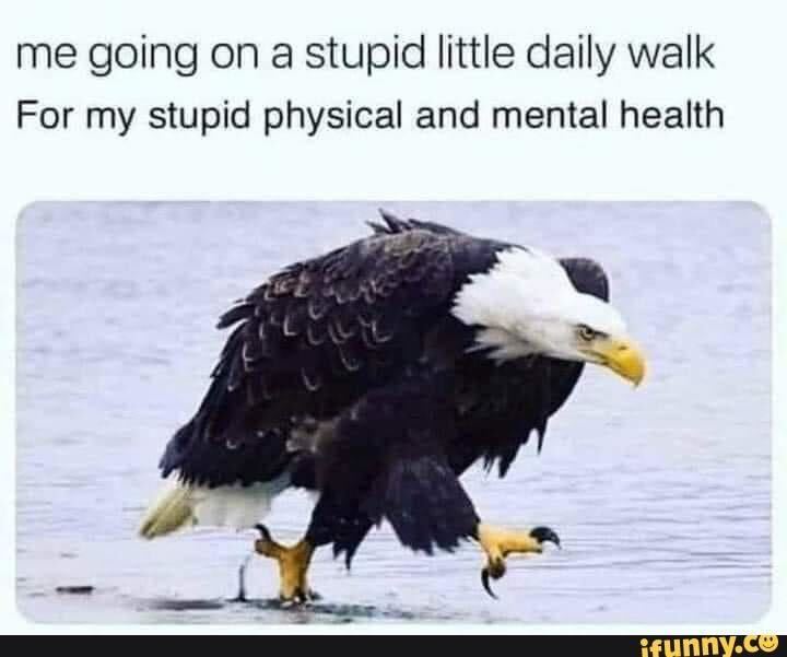 FunCorp2's tweet image. It’s an excellent time to start a new habit that will benefit your #mentalhealth. We recommend watching more memes. Seriously. They have a significant impact on your mental health. Why? Let&apos;s discover: bit.ly/3Zs5oyG