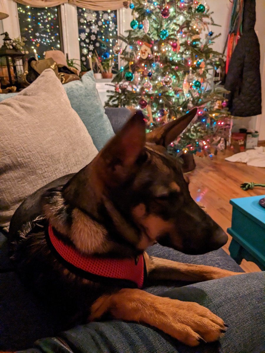 Magic 매직 tweet media